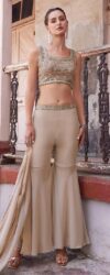 Stunning Beige Designer Crop Top Style Sharara Suit